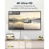 goobay Cable adaptador USB, conector USB-C > conector DisplayPort, 4K 60Hz negro