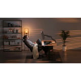 ENDORFY Atlas GS Pro Single, Soporte de monitor negro