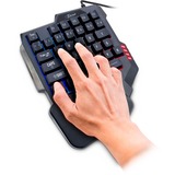 Inter-Tech KB-3035 teclado USB QWERTY Negro negro, Mini, USB, QWERTY, LED RGB, Negro