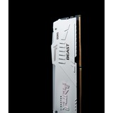 Kingston FURY FURY Beast 32 GB 5200 MT/s DDR5 CL40 DIMM (Kit de 2) White RGB XMP, Memoria RAM blanco, 32 GB, 2 x 16 GB, DDR5, 288-pin DIMM