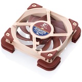 Noctua NV-MPP1.brown Sx4 Almohadillas multiusos, Junta marrón