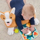 Fisher-Price HJW10, Peluches 