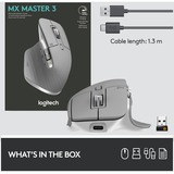 Logitech MX Master 3 ratón mano derecha RF Wireless + Bluetooth Laser 4000 DPI gris, mano derecha, Laser, RF Wireless + Bluetooth, 4000 DPI, Gris