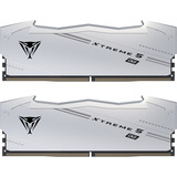 Patriot VX548G9244CK, Memoria RAM plateado