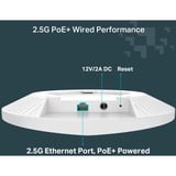 TP-Link Festa F67 Blanco Energía sobre Ethernet (PoE), Punto de acceso 2,4 GHz, 5 GHz