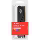 ADATA LANCER BLADE módulo de memoria 16 GB 1 x 16 GB DDR5 6000 MT/s 288-pin DIMM ECC, Memoria RAM negro, 16 GB, 1 x 16 GB, DDR5, 288-pin DIMM