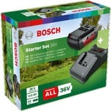 Bosch F016800609 cargador y batería cargable Juego de cargador y baterías, Conjunto negro, Juego de cargador y baterías, Ión de litio, 2 Ah, 36 V, Bosch, Negro