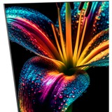 CHiQ U50QM8V, TV QLED negro