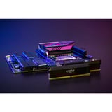 Crucial CP2K32G64C40U5B, Memoria RAM negro