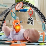 Fisher-Price HBP41 gimnasio para bebé y tapete de juego Multicolor Gimnasio para bebés, Gimnasio de actividades/Alfombra Gimnasio para bebés, Barra de juguetes, Sonoro, Multicolor