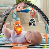 Fisher-Price HBP41 gimnasio para bebé y tapete de juego Plástico Multicolor Gimnasio para bebés, Gimnasio de actividades/Alfombra Gimnasio para bebés, Barra de juguetes, Sonoro, Plástico, Multicolor