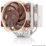 Noctua NF-A12x25r PWM Premium Fan 120x120x25, Ventilador 