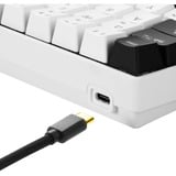 Sharkoon SGK50 S4 teclado USB QWERTY Inglés de EE. UU. Blanco, Teclado para gaming blanco/Negro, 60%, USB, QWERTY, LED RGB, Blanco