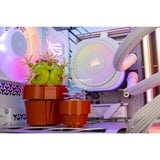 ALTERNATE ALT-ICUECS-AMD-002, Gaming-PC blanco/Transparente