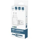 Ansmann Home Charger HC130PD / 3 A / 30 W / 1 puerto, Cargador blanco