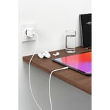 Ansmann Home Charger HC130PD / 3 A / 30 W / 1 puerto, Cargador blanco