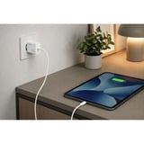 Ansmann Home Charger HC130PD / 3 A / 30 W / 1 puerto, Cargador blanco