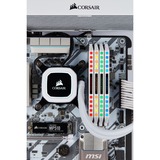 Corsair Dominator CMT64GX4M4E3200C16W módulo de memoria 64 GB 4 x 16 GB DDR4 3200 MHz, Memoria RAM blanco, 64 GB, 4 x 16 GB, DDR4, 3200 MHz, 288-pin DIMM, Blanco