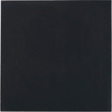 Thermal Grizzly Minus Pad Advance - 100x100x1,5 mm, Almohadillas térmicas 