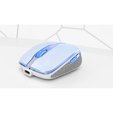 CHERRY DW 9100 SLIM teclado Ratón incluido Universal RF Wireless + Bluetooth QWERTY Inglés de EE. UU. Plata, Juego de escritorio blanco/Plateado, Inalámbrico, RF Wireless + Bluetooth, QWERTY, Plata, Ratón incluido