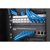 Digitus Panel de parcheo de 10" para armarios de red y servidores, Guía para cable negro