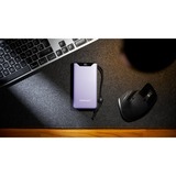 Intenso F20000 Purple, 7332053, Banco de potencia lila