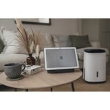 Meaco Dry Arete Two 10L Deshumidificador de compresor y purificador de aire blanco/Negro