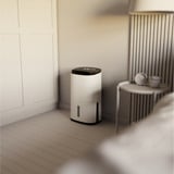 Meaco Dry Arete Two 10L Deshumidificador de compresor y purificador de aire blanco/Negro