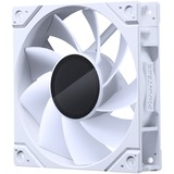 Phanteks M25G2-120 D-RGB Reverse Triple Pack, Ventilador blanco