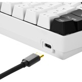 Sharkoon SGK50 S4 teclado USB QWERTY Italiano Blanco, Teclado para gaming blanco, 60%, USB, QWERTY, LED RGB, Blanco