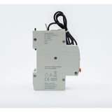 Shelly Pro 1CB C32, Copia de seguridad gris
