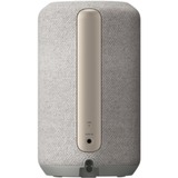 Sony SRS-RA3000 Altavoz portátil estéreo Gris gris claro, 2.0 canales, 8 cm, 1,7 cm, Inalámbrico, A2DP, AAC, AVCTP, SBC, SPP, Altavoz portátil estéreo