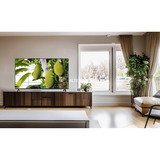 TCL 50S5L, TV QLED negro