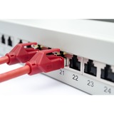 Digitus Panel de conexión CAT 6A, clase EA, apantallado, Patch Panel gris, clase EA, apantallado, Gigabit Ethernet, Cat6a, Gris, Montaje en bastidor, 1U, 1,5 mm
