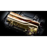 G.Skill F5-6000J2636H16GX2-TR5NG, Memoria RAM dorado
