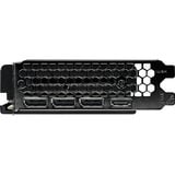 Gainward NE7506TS19T1-GB2061T, Tarjeta gráfica 