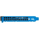 OWC Accelsior 8M2 16 TB, Unidad de estado sólido negro/Azul