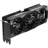 PNY GeForce RTX 5070 Ti OC, Tarjeta gráfica 