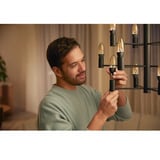 Philips Hue 929003145202, Lámpara LED 