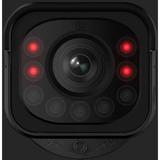 Reolink P430 - B, Cámara de vigilancia negro