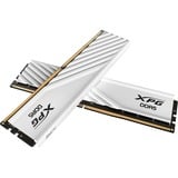 ADATA LANCER BLADE DDR5 módulo de memoria 32 GB 2 x 16 GB 288-pin DIMM ECC, Memoria RAM blanco, 32 GB, 2 x 16 GB, DDR5, 5600 MHz, 288-pin DIMM