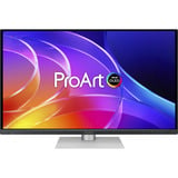 ASUS ProArt Display OLED PA279CDV, Monitor OLED negro/Plateado