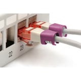 Digitus Clips de color para cables de parche - Magenta, Cubierta Magenta