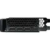 Gainward NE7506TT19P1-GB2062B, Tarjeta gráfica 