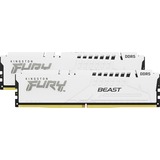 Kingston FURY KF560C36BWEK2-32, Memoria RAM blanco