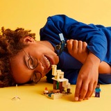 LEGO 21251, Juegos de construcción 