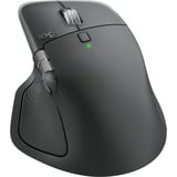 Logitech 910-007562, Ratón grafito