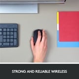 Logitech M171 Ratones, Ratón negro/Gris, Ambidextro, Óptico, RF inalámbrico, 1000 DPI, Gris