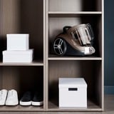 Rowenta Compact Power XXL RO4B50 2,5 L Aspiradora cilíndrica Secar 900 W Sin bolsa, Aspiradora de suelo gris/Negro, 900 W, Aspiradora cilíndrica, Secar, Sin bolsa, 2,5 L, Filtrado