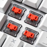 Sharkoon 4044951034246, Teclado para gaming blanco